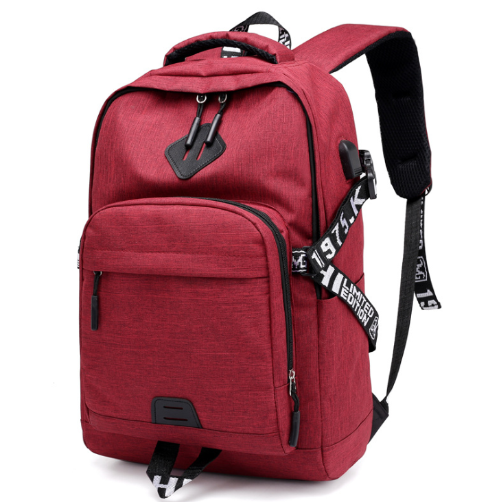 Laptop USB Charging Backpack